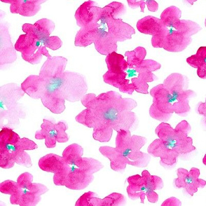Pinky dreams • watercolor florals