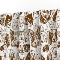 dogs - brown