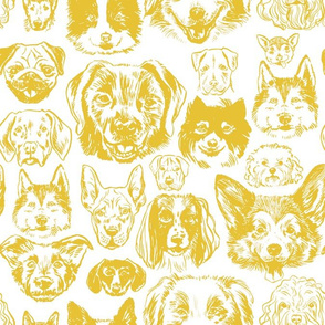 dogs - mustard