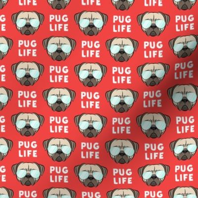 (1" scale) Pug Life - cute pug face - red w/ glasses C19BS