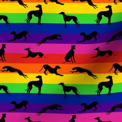 Black Greyhound on Horizontal Rainbow Stripes
