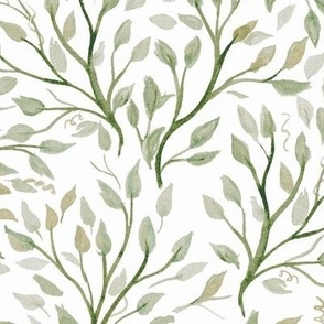 Soft Willow vine