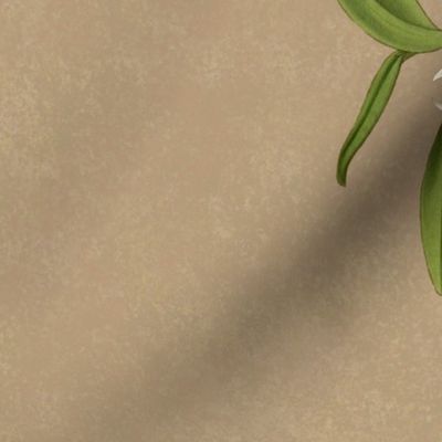 Dendrobium Jamesianum Tea Towel 150