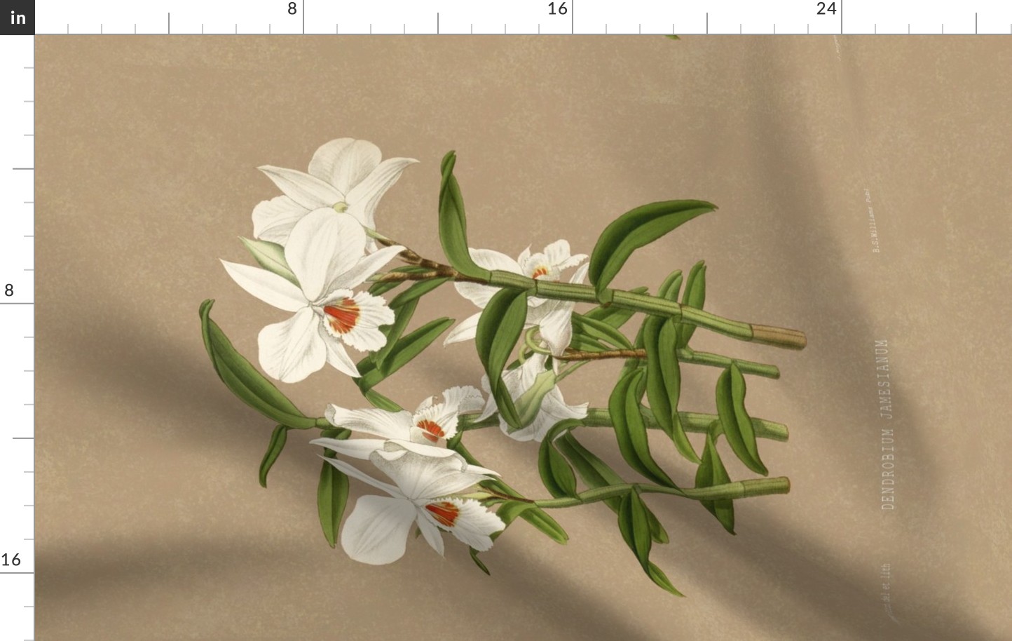 Dendrobium Jamesianum Tea Towel 150