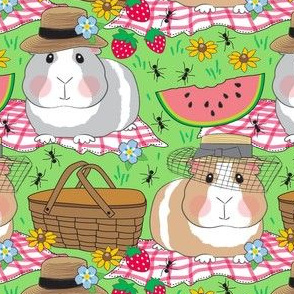 large guinea-pigs-on-a-picnic