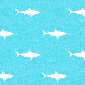 sharks on light blue - LAD19