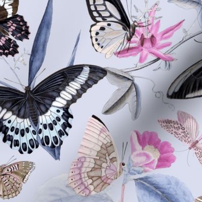 Romantic Butterfly Pattern