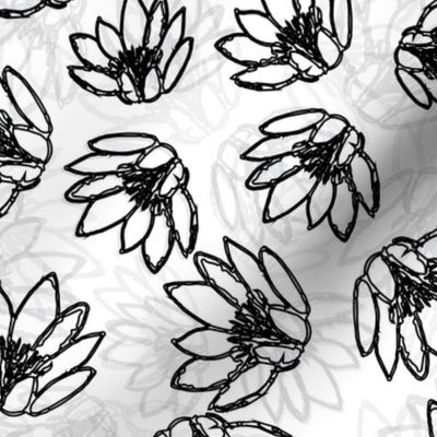 Water Lily Flower Floral White Black Gray Wallpaper Fun Bold 