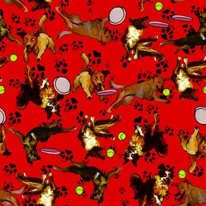 dogs on red