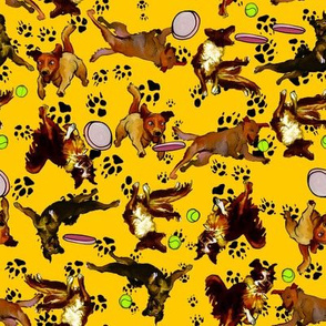 dogs on yellow