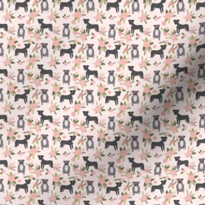 TINY - pitbull floral dog fabric, dog fabric, floral fabric, dog florals, dog fabric, pitbull florals fabric, - peach