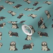 bearded collie dog fabric - collie dog fabric, bearded collie fabric, dogs fabric, simple dog fabric -  blue