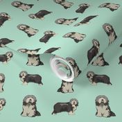 bearded collie dog fabric - collie dog fabric, bearded collie fabric, dogs fabric, simple dog fabric -  mint