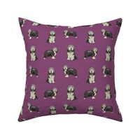 bearded collie dog fabric - collie dog fabric, bearded collie fabric, dogs fabric, simple dog fabric - purple