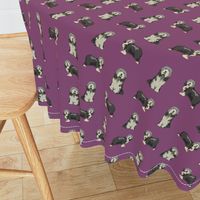 bearded collie dog fabric - collie dog fabric, bearded collie fabric, dogs fabric, simple dog fabric - purple