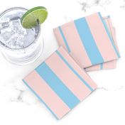 Pink and Blue Café Stripe Vertical Pattern