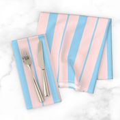 Pink and Blue Café Stripe Vertical Pattern