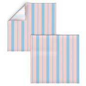 Pink and Blue Café Stripe Vertical Pattern