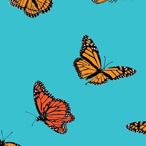 Orange Monarch Butterflies on Blue