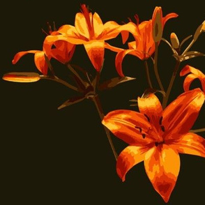 Orange Lily Paint by Numbers