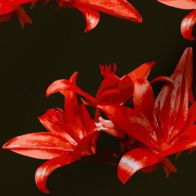 Red Lily Paint by Numbers