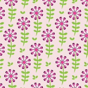 Purple and Pink Cup Flowers on a Light Pink Background