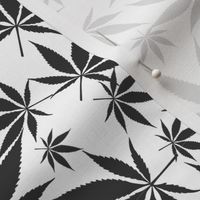 Cannabis leaves - dark grey on white