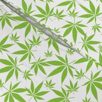 Cannabis leaves - avocado-green on white
