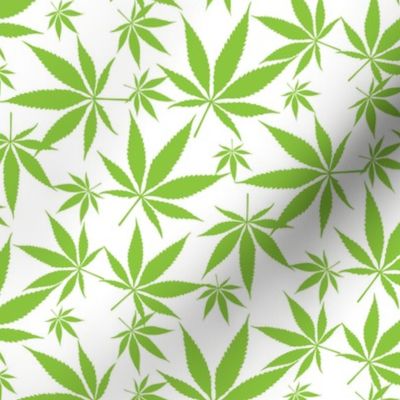 Cannabis leaves - avocado-green on white