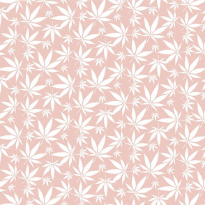 Cannabis leaves - white on petal pink