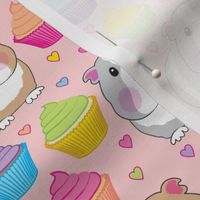 medium guinea-pigs-hearts and cupcakes