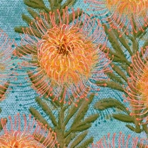 Pincushion Proteas on dusty canvas 24”