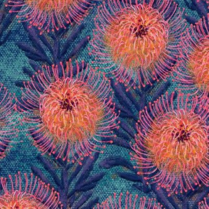 Pincushion Proteas on teal canvas 18”