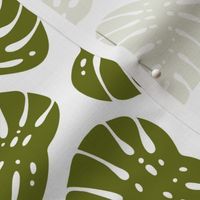 Monstera Leaves