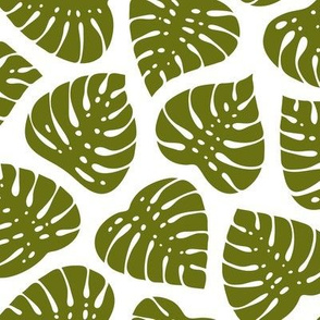 Monstera Leaves