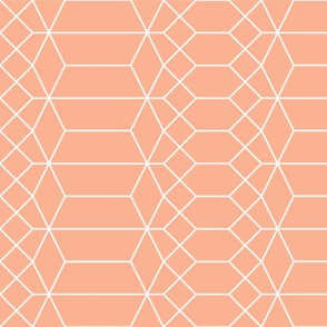 Geometric Blush Pink Accent Fabric