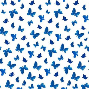 Blue moths