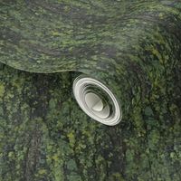 Photo Mossy Bark | Texture Print