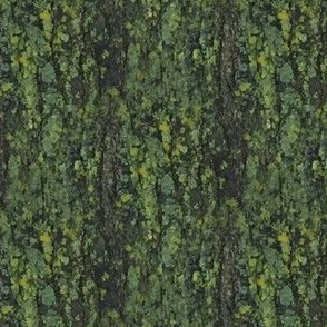 Photo Mossy Bark | Texture Print