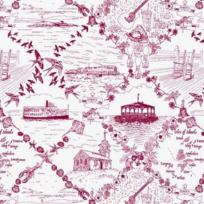 Star Island Toile (burgundy)