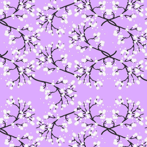 Snow White Blossom Lace - French Lavender 