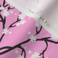 Snow White Blossom Lace - pink 