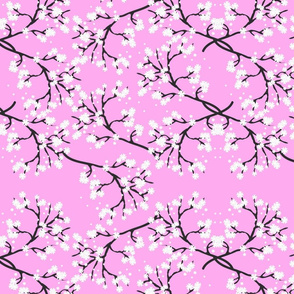 Snow White Blossom Lace - candy pink 