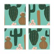 Cactus Flowers Limited Palette