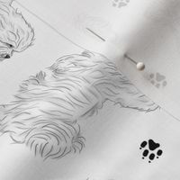 Trotting Coton de Tulear and paw prints - white