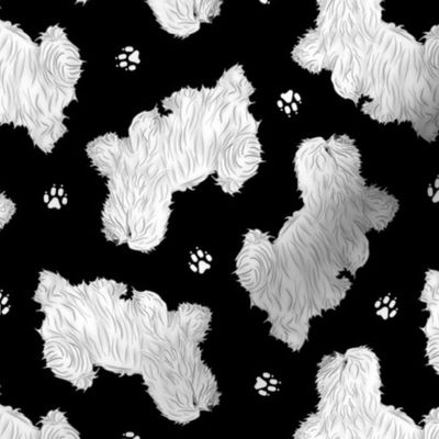 Trotting Coton de Tulear and paw prints - black