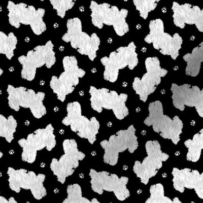Tiny Trotting Coton de Tulear and paw prints - black