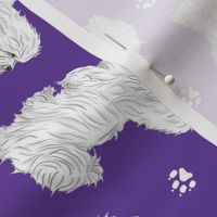 Trotting Coton de Tulear and paw prints - purple