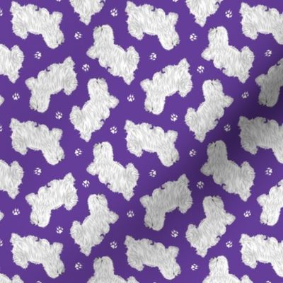 Tiny Trotting Coton de Tulear and paw prints - purple