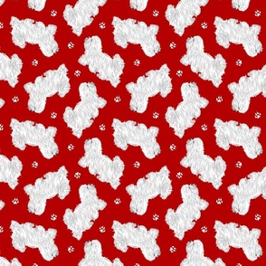 Trotting Coton de Tulear and paw prints - red